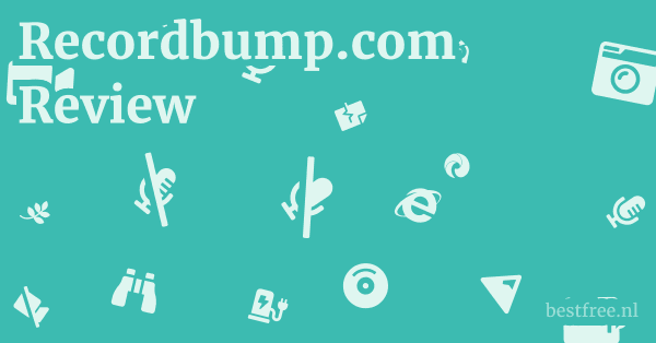 Recordbump.com Review 1 by BestFREE.nl
