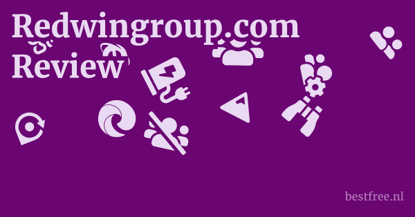 Redwingroup.com Review 1 by BestFREE.nl