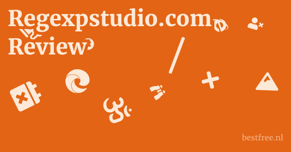 Regexpstudio.com Review 1 by BestFREE.nl