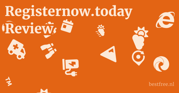Registernow.today Review 1 by BestFREE.nl