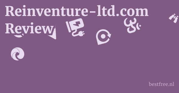 Reinventure-ltd.com Review 1 by BestFREE.nl