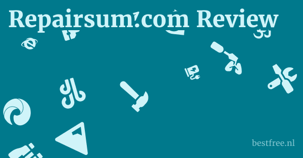Repairsum.com Review 1 by BestFREE.nl