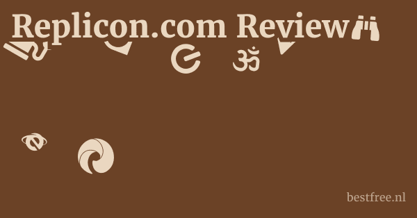 Replicon.com Review 1 by BestFREE.nl