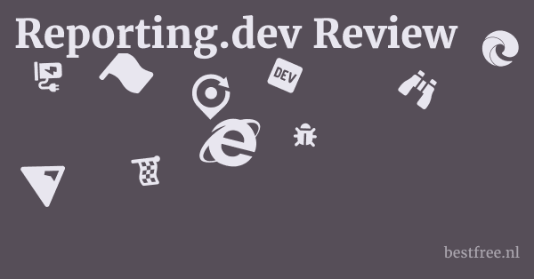 Reporting.dev Review 1 by BestFREE.nl