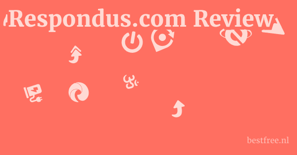 Respondus.com Review 1 by BestFREE.nl