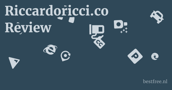Riccardoricci.co Review 1 by BestFREE.nl