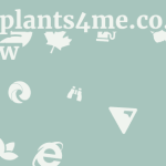 Rightplants4me.co.uk Review 9 by BestFREE.nl
