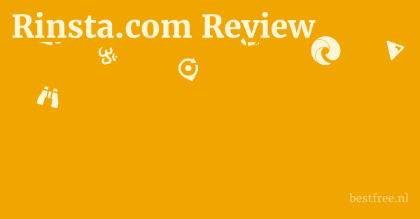 Rinsta.com Review 1 by BestFREE.nl