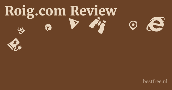 Roig.com Review 1 by BestFREE.nl