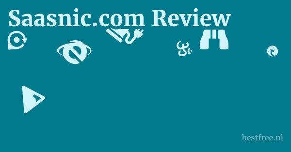 Saasnic.com Review 1 by BestFREE.nl