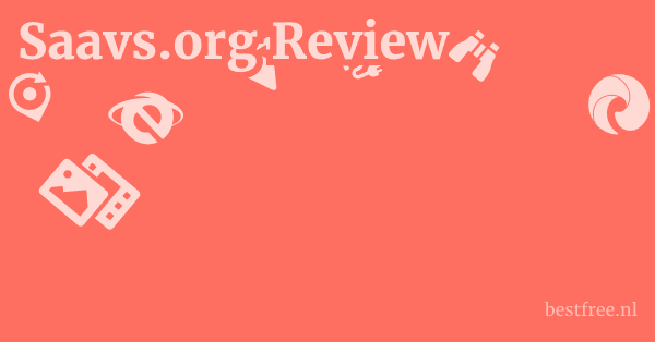 Saavs.org Review 1 by BestFREE.nl