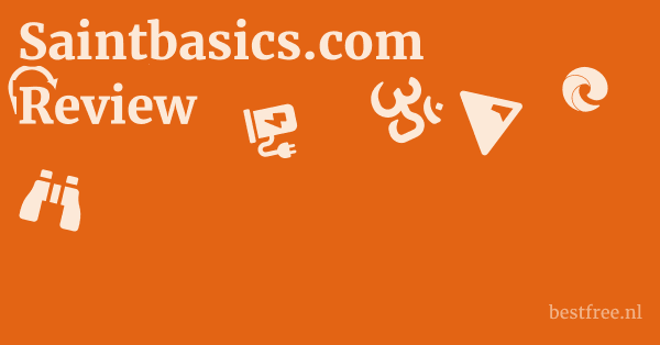 Saintbasics.com Review 1 by BestFREE.nl