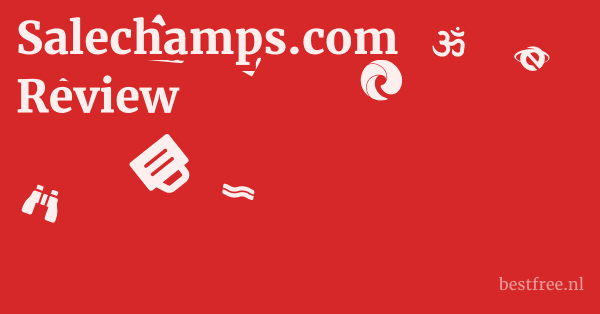 Salechamps.com Review 1 by BestFREE.nl