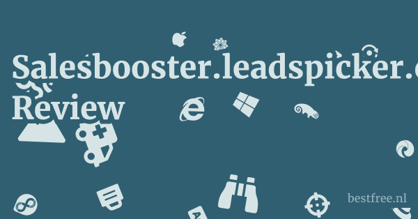 Salesbooster.leadspicker.com Review 1 by BestFREE.nl