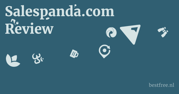 Salespanda.com Review 1 by BestFREE.nl