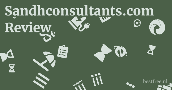 Sandhconsultants.com Review 1 by BestFREE.nl