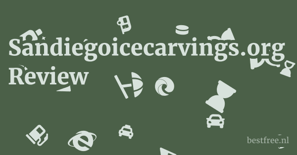 Sandiegoicecarvings.org Review 1 by BestFREE.nl