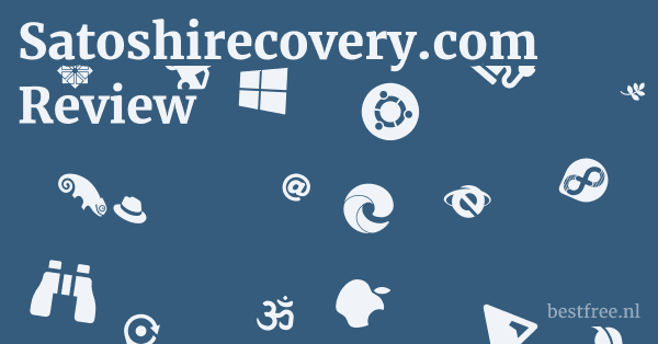 Satoshirecovery.com Review 1 by BestFREE.nl