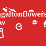 Sayehgaltonflowers.com Review 9 by BestFREE.nl