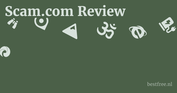 Scam.com Review 1 by BestFREE.nl
