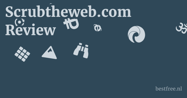 Scrubtheweb.com Review 1 by BestFREE.nl