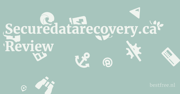 Securedatarecovery.ca Review 1 by BestFREE.nl