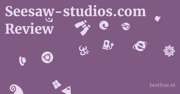 Seesaw-studios.com Review 1 by BestFREE.nl