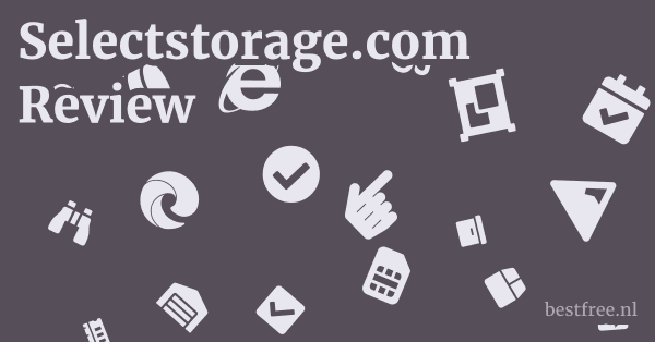 Selectstorage.com Review 1 by BestFREE.nl