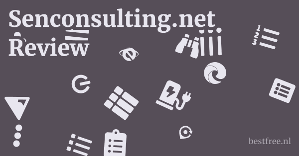 Senconsulting.net Review 1 by BestFREE.nl
