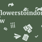Sendflowerstoindonesia.com Review 3 by BestFREE.nl
