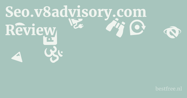 Seo.v8advisory.com Review 1 by BestFREE.nl
