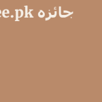 Seobee.pk جائزہ 16 by BestFREE.nl