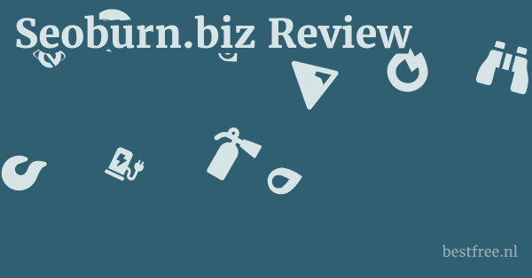 Seoburn.biz Review 1 by BestFREE.nl