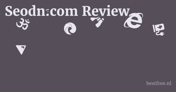 Seodn.com Review 1 by BestFREE.nl