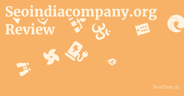 Seoindiacompany.org Review 1 by BestFREE.nl