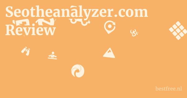 Seotheanalyzer.com Review 1 by BestFREE.nl