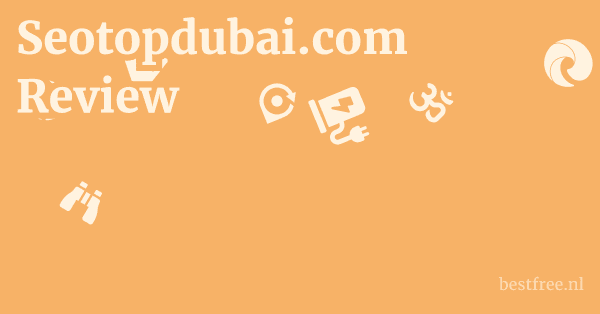 Seotopdubai.com Review 1 by BestFREE.nl