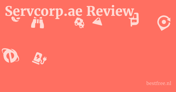 Servcorp.ae Review 1 by BestFREE.nl