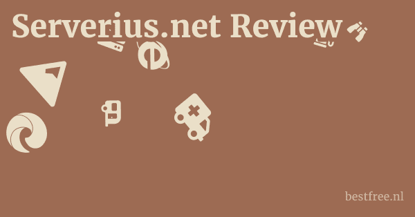 Serverius.net Review 1 by BestFREE.nl