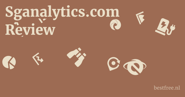Sganalytics.com Review 1 by BestFREE.nl