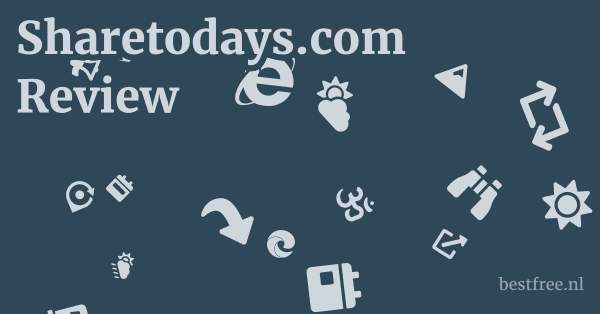 Sharetodays.com Review 1 by BestFREE.nl