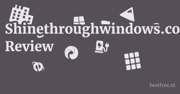 Shinethroughwindows.com Review 1 by BestFREE.nl