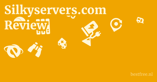 Silkyservers.com Review 1 by BestFREE.nl