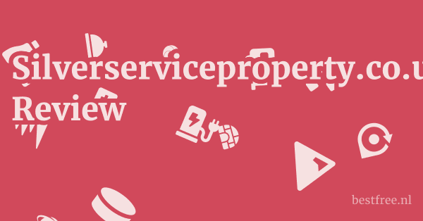 Silverserviceproperty.co.uk Review 1 by BestFREE.nl