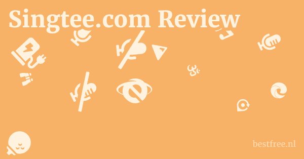 Singtee.com Review 1 by BestFREE.nl