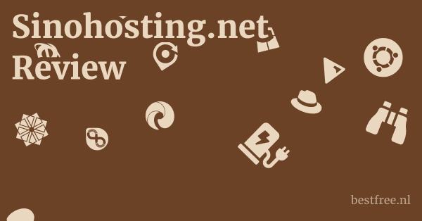 Sinohosting.net Review 1 by BestFREE.nl