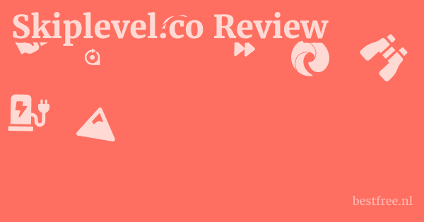 Skiplevel.co Review 1 by BestFREE.nl