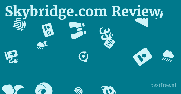 Skybridge.com Review 1 by BestFREE.nl