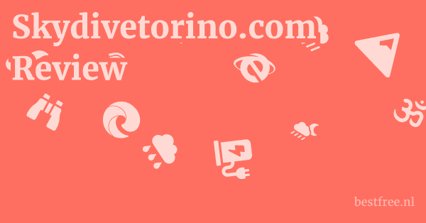 Skydivetorino.com Review 1 by BestFREE.nl