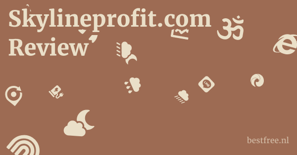 Skylineprofit.com Review 1 by BestFREE.nl